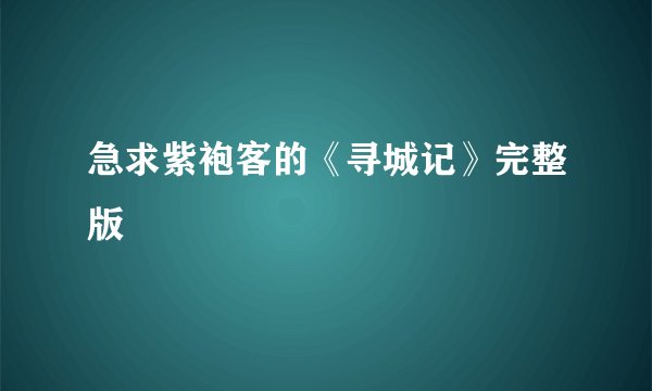 急求紫袍客的《寻城记》完整版