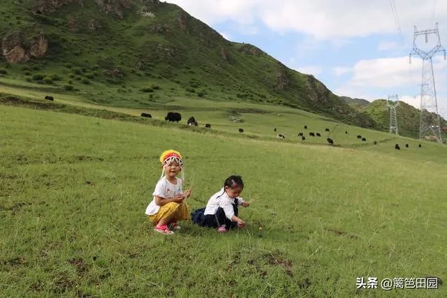 汽车自驾游的感受有哪些?