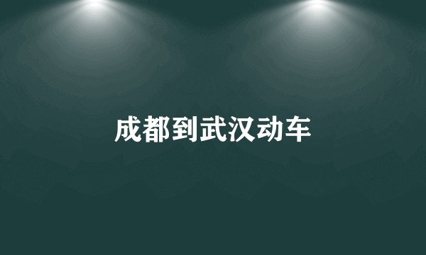 成都到武汉动车