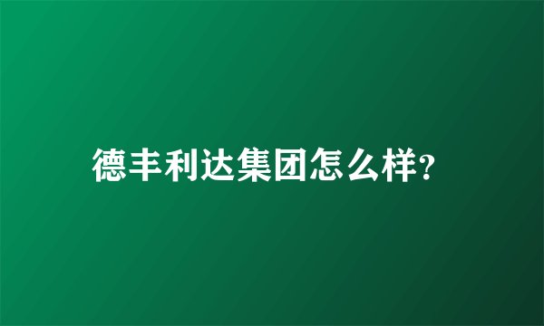 德丰利达集团怎么样？