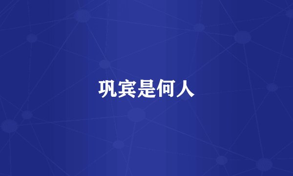 巩宾是何人