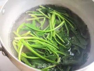 春暖花开