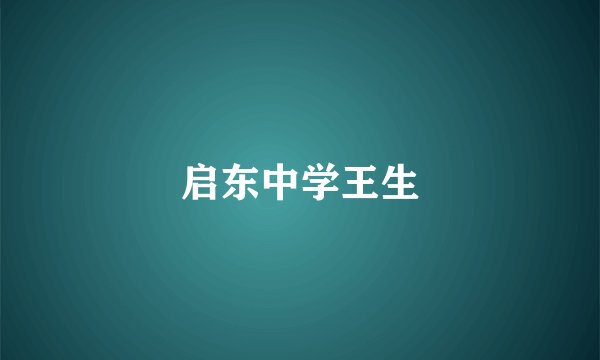 启东中学王生