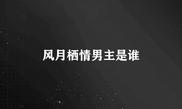 风月栖情男主是谁