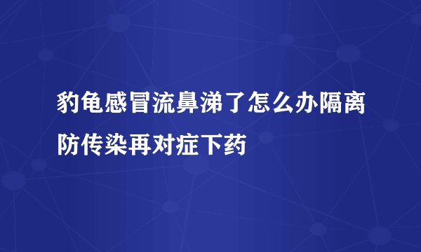 豹龟感冒流鼻涕了怎么办隔离防传染再对症下药