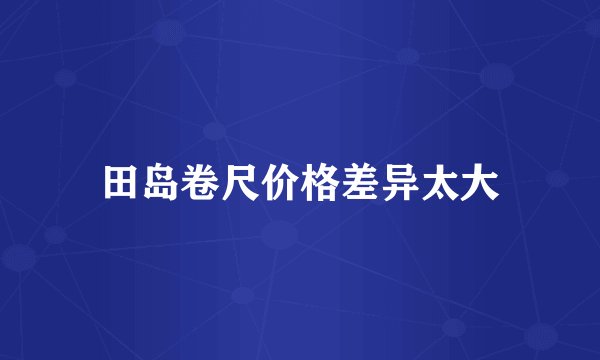 田岛卷尺价格差异太大