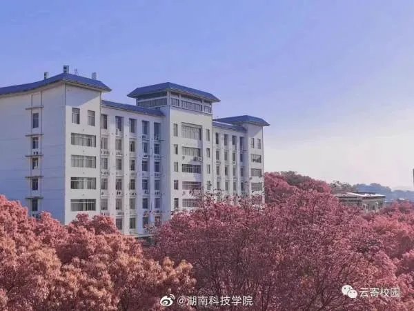 湖南科技学院好不好呢?