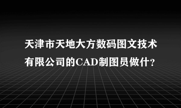 天津市天地大方数码图文技术有限公司的CAD制图员做什？