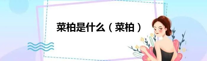 菜柏是什么（菜柏）