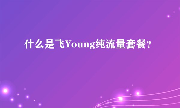 什么是飞Young纯流量套餐？