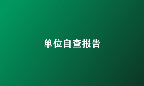 单位自查报告