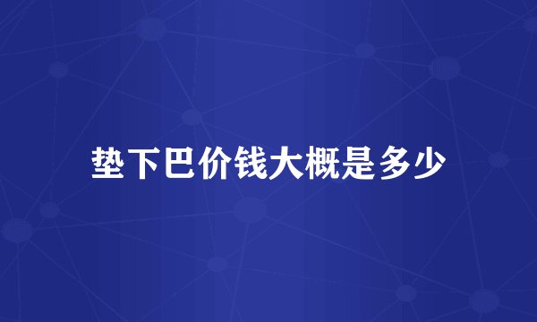 垫下巴价钱大概是多少