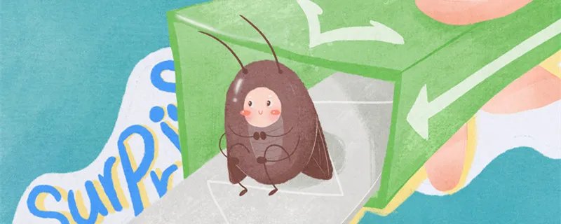 怎样除蟑螂快速有效