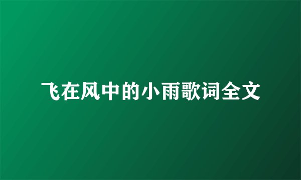 飞在风中的小雨歌词全文