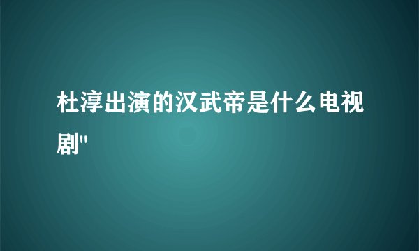 杜淳出演的汉武帝是什么电视剧