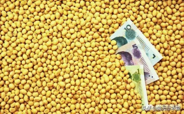 中国新粮上市
