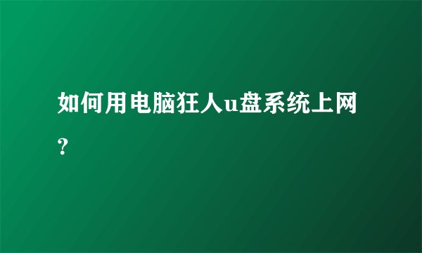 如何用电脑狂人u盘系统上网？