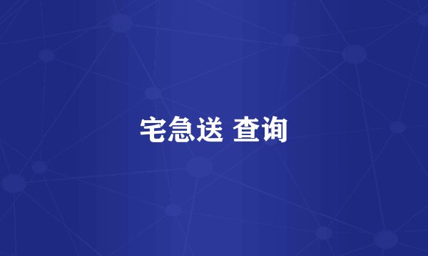 宅急送 查询