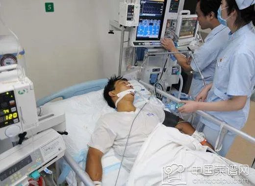 草乌是什么 草乌炖猪脚究竟是美味还是毒药?