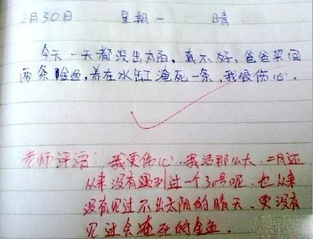 小学生神作文再现,请问小学生你为何这么优秀
