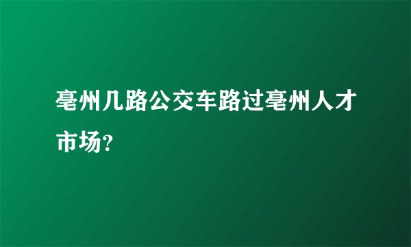 亳州几路公交车路过亳州人才市场？
