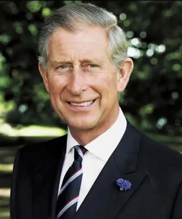 怎么看查尔斯王子确诊新冠肺炎?英国疫情的走向会如何?