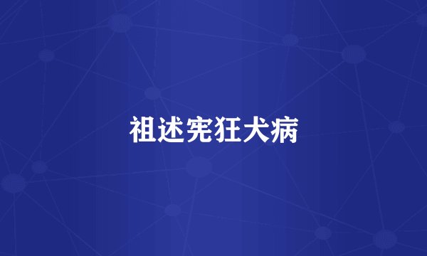 祖述宪狂犬病
