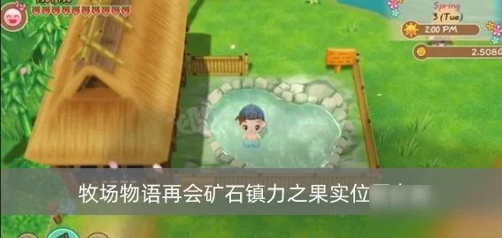 《牧场物语》再会矿石镇力之果实攻略 力之果实怎么获取