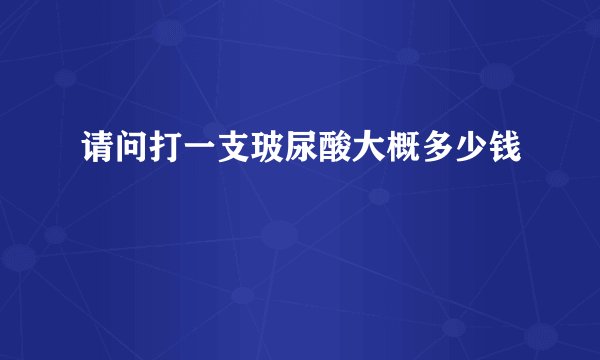 请问打一支玻尿酸大概多少钱