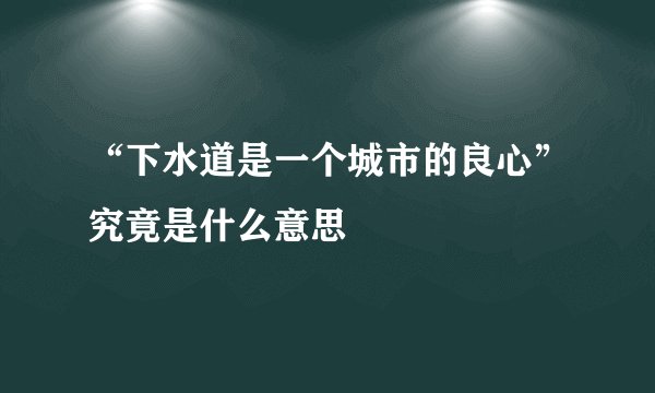 “下水道是一个城市的良心”究竟是什么意思