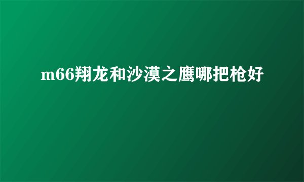 m66翔龙和沙漠之鹰哪把枪好