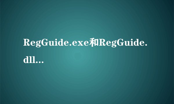 RegGuide.exe和RegGuide.dll有什么区别?