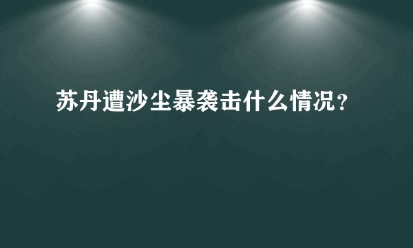 苏丹遭沙尘暴袭击什么情况？