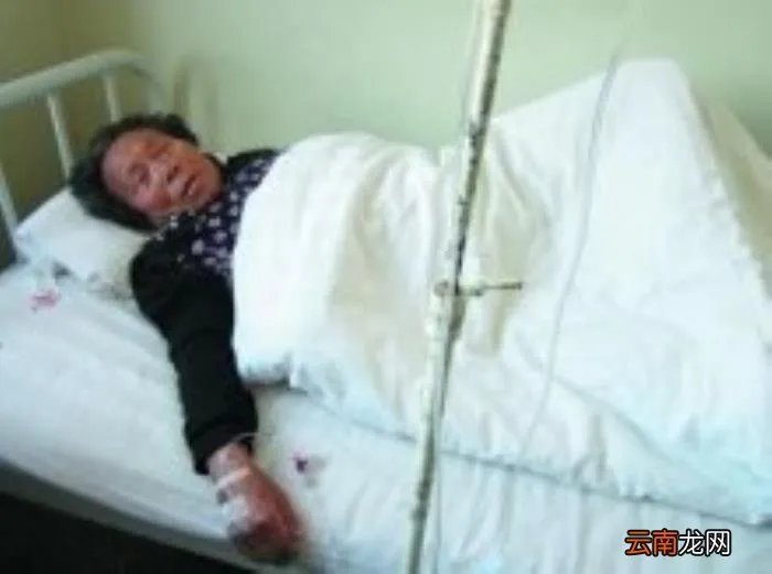 李小璐宣布怀二胎,李小璐想生二胎了
