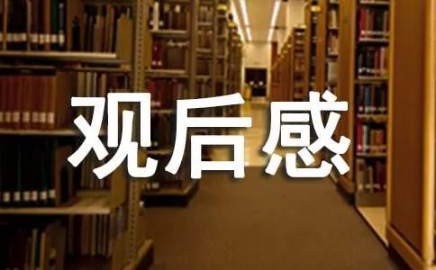 灵异村神秘村观后感