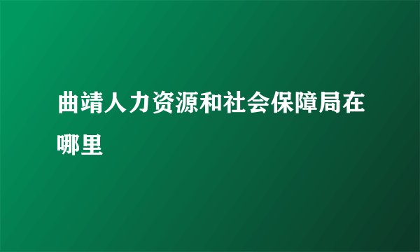 曲靖人力资源和社会保障局在哪里