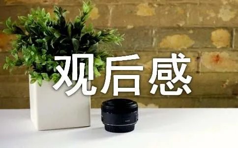 中国汉字听写大会观后感