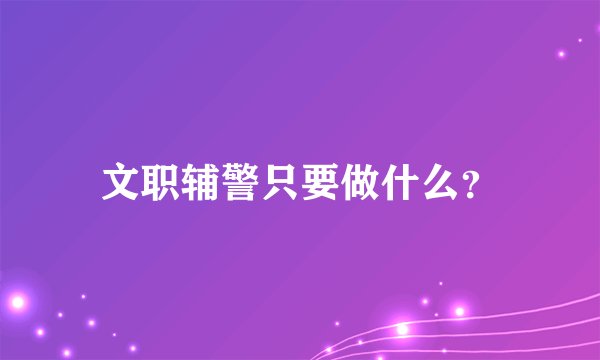 文职辅警只要做什么?