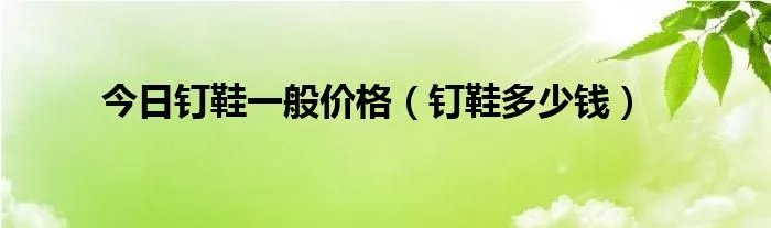今日钉鞋一般价格（钉鞋多少钱）