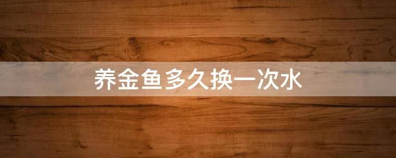 养金鱼多久换一次水