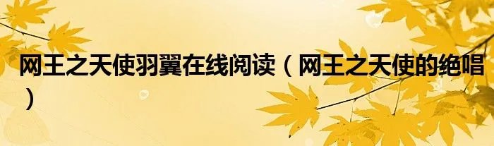 网王之天使羽翼在线阅读（网王之天使的绝唱）