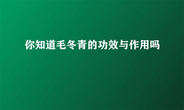 你知道毛冬青的功效与作用吗
