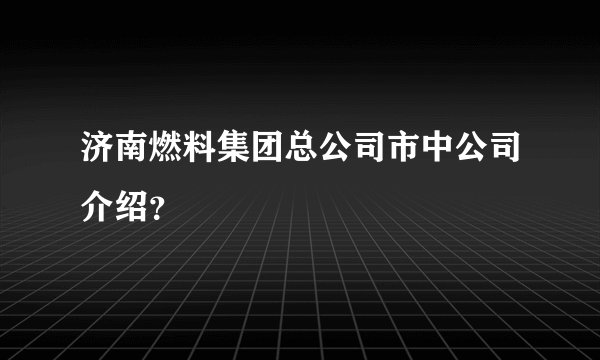 济南燃料集团总公司市中公司介绍?
