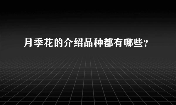 月季花的介绍品种都有哪些？