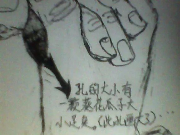 肉埙的埙