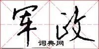 军政