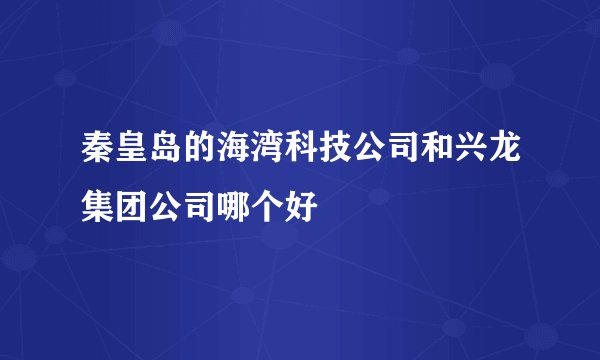 秦皇岛的海湾科技公司和兴龙集团公司哪个好