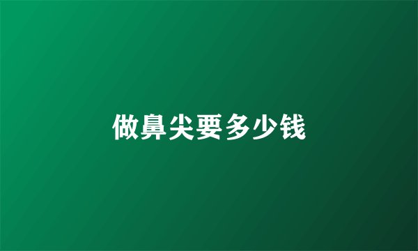 做鼻尖要多少钱