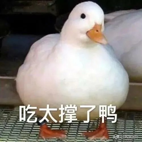 巴基斯坦蝗灾怎么样了?最近怎么感觉没人提及?