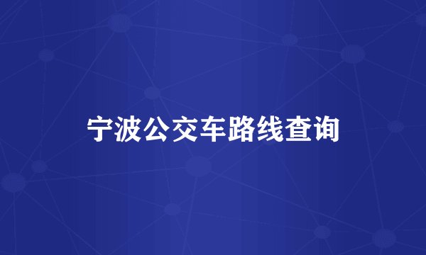 宁波公交车路线查询